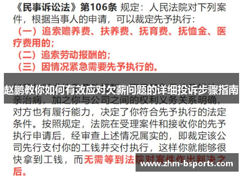 赵鹏教你如何有效应对欠薪问题的详细投诉步骤指南 赵鹏教你如何有效应对欠薪问题的详细投诉步骤指南
